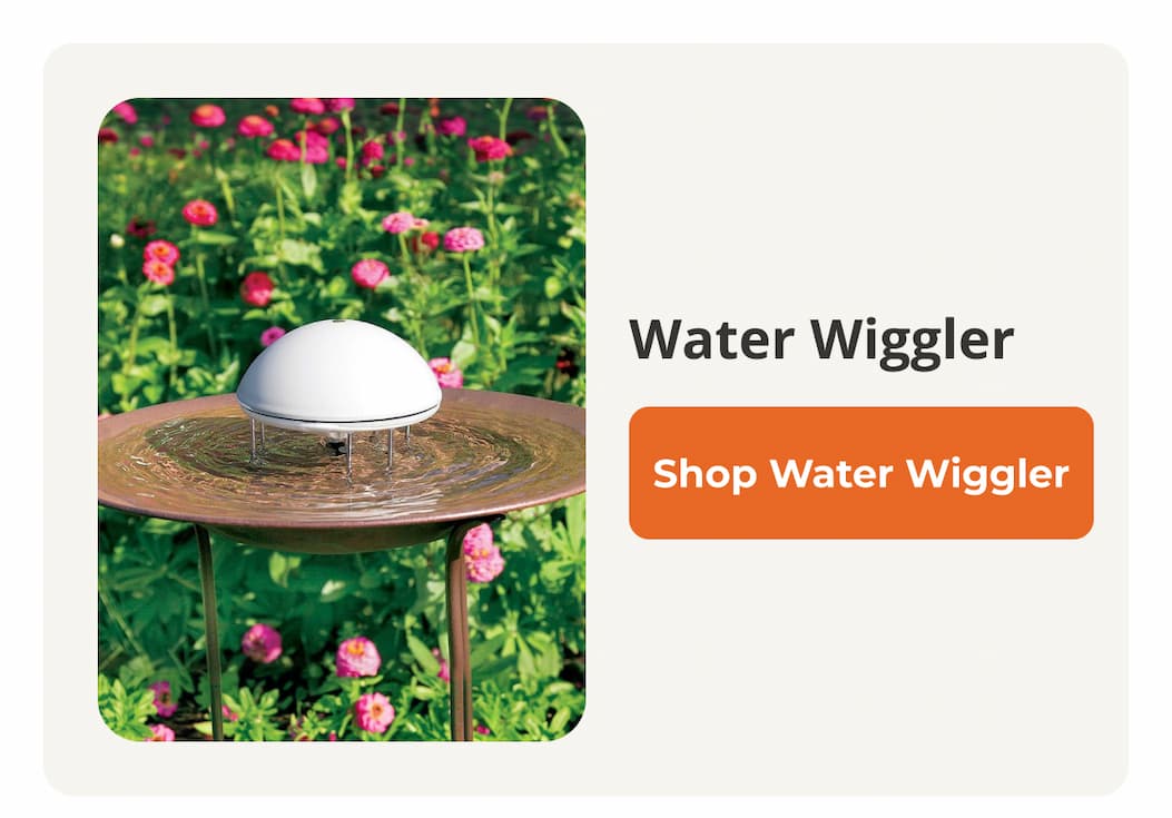 Water Wiggler