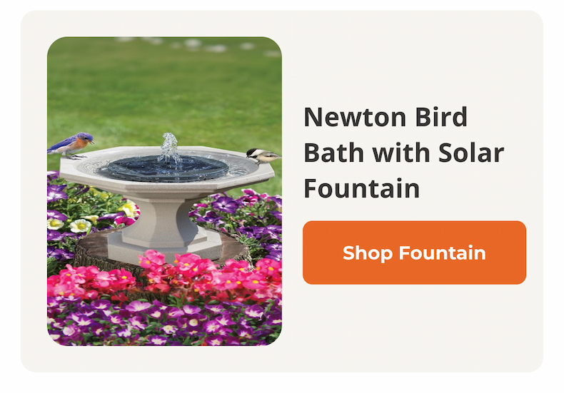 Sand Newton Bird Bath with Solar Fountain
