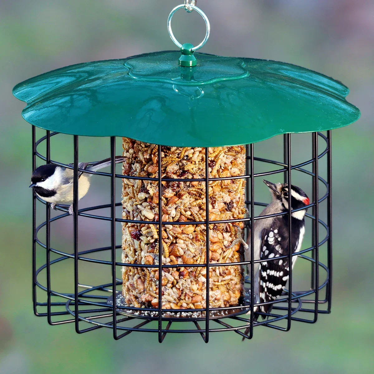 Image of Squirrel Defeater Seed Log Bird Feeder