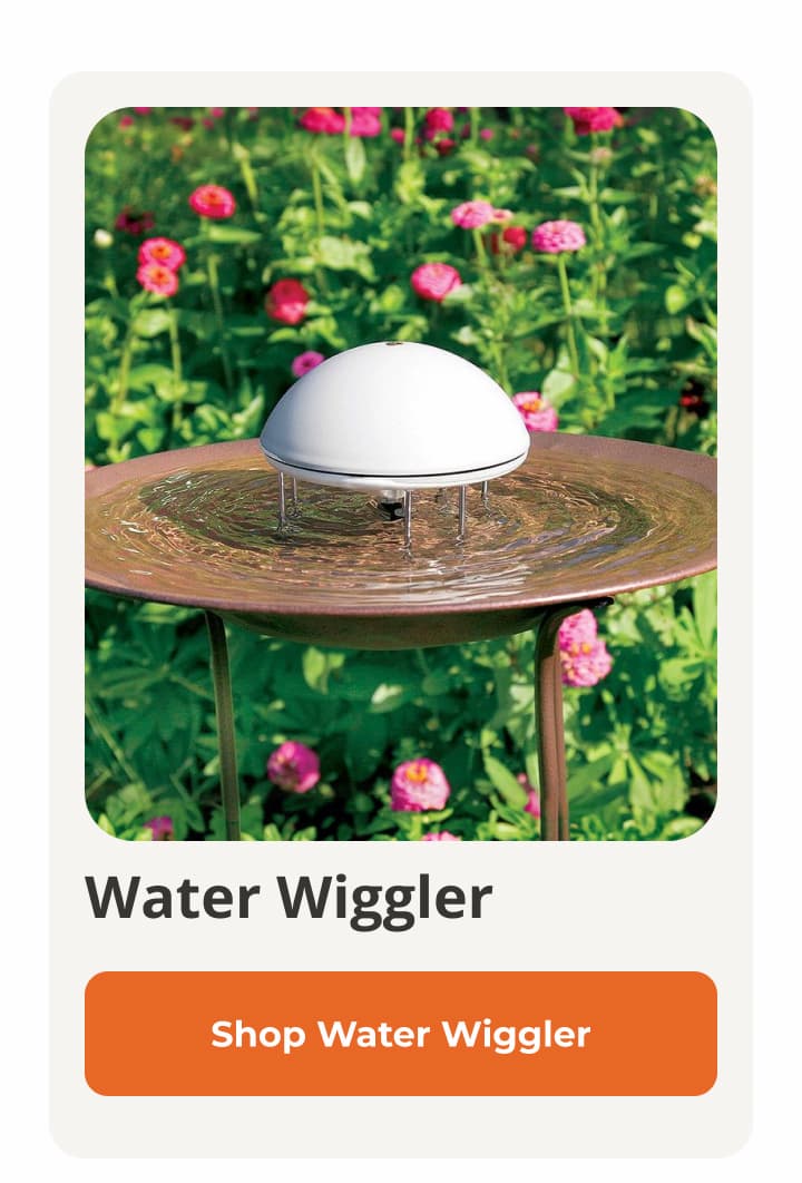 Water Wiggler