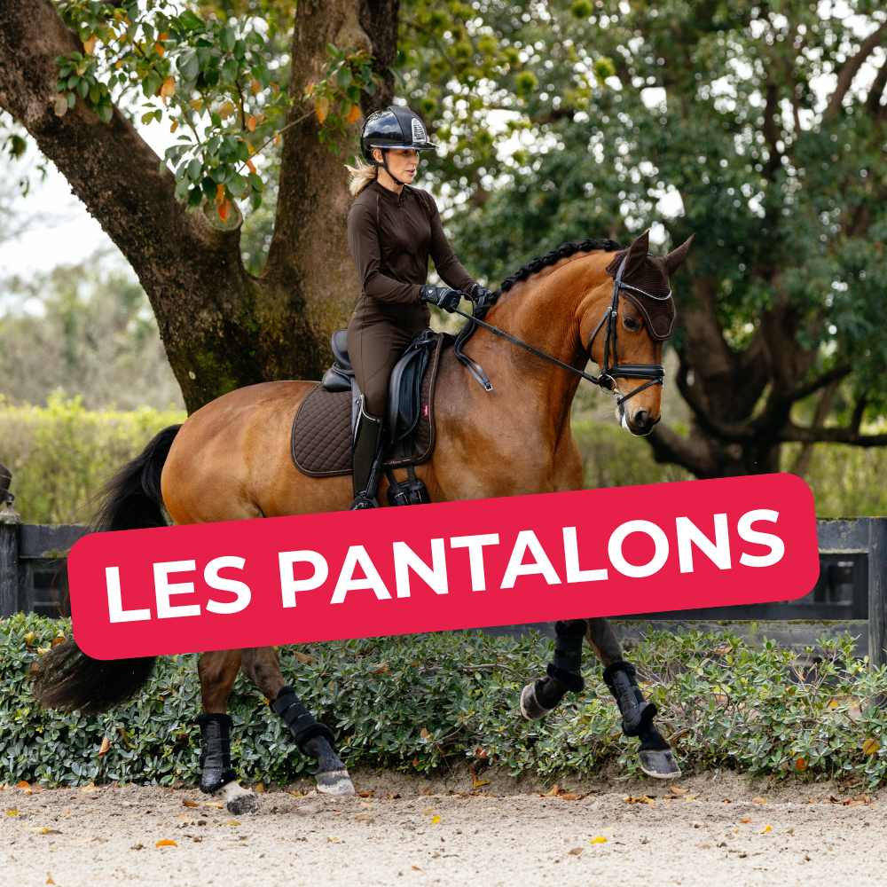 LES PANTALONS LEMIEUX