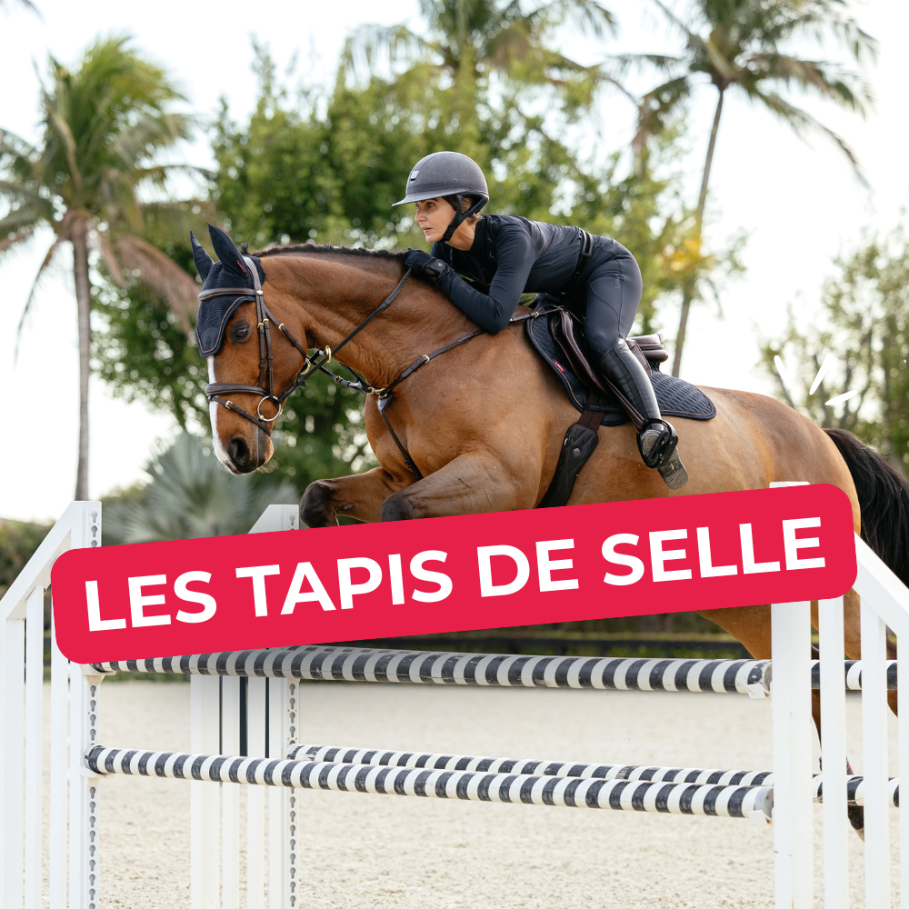 LES TAPIS LEMIEUX