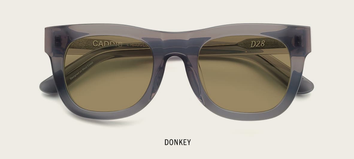 Donkey