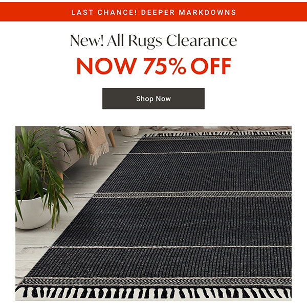 All Rugs Clearance - NOW 75% OFF - Shop Now