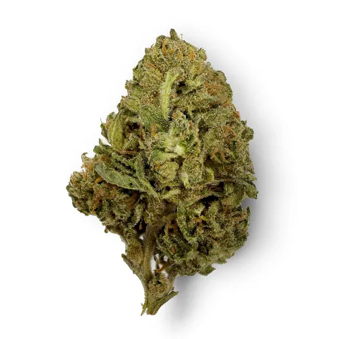 Image of Red Congolese Flower – Sativa – THCA