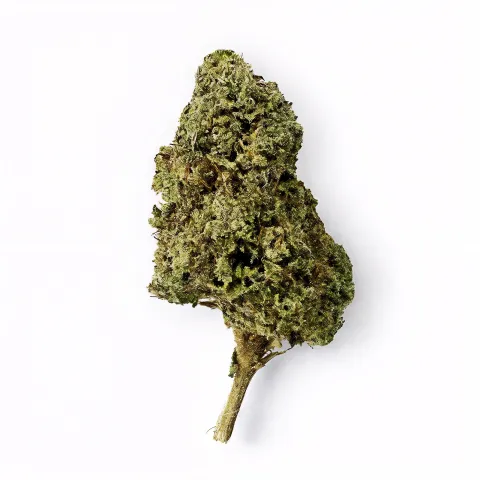 Image of Godfather OG Flower - Hybrid - THCA