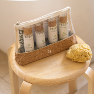 Mini Essential Travel Kit