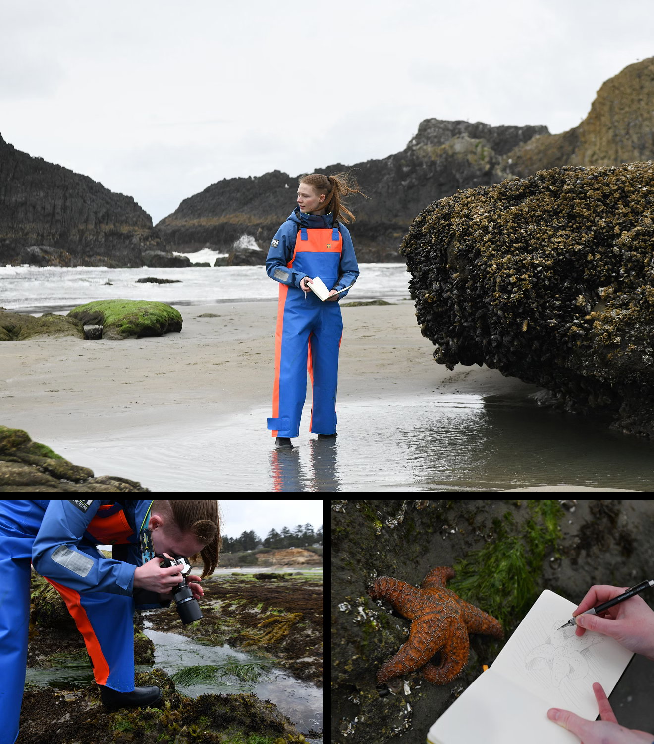 Natalie Donato exploring a rocky beach, photographing tide pools and sketching a starfish in a notebook.