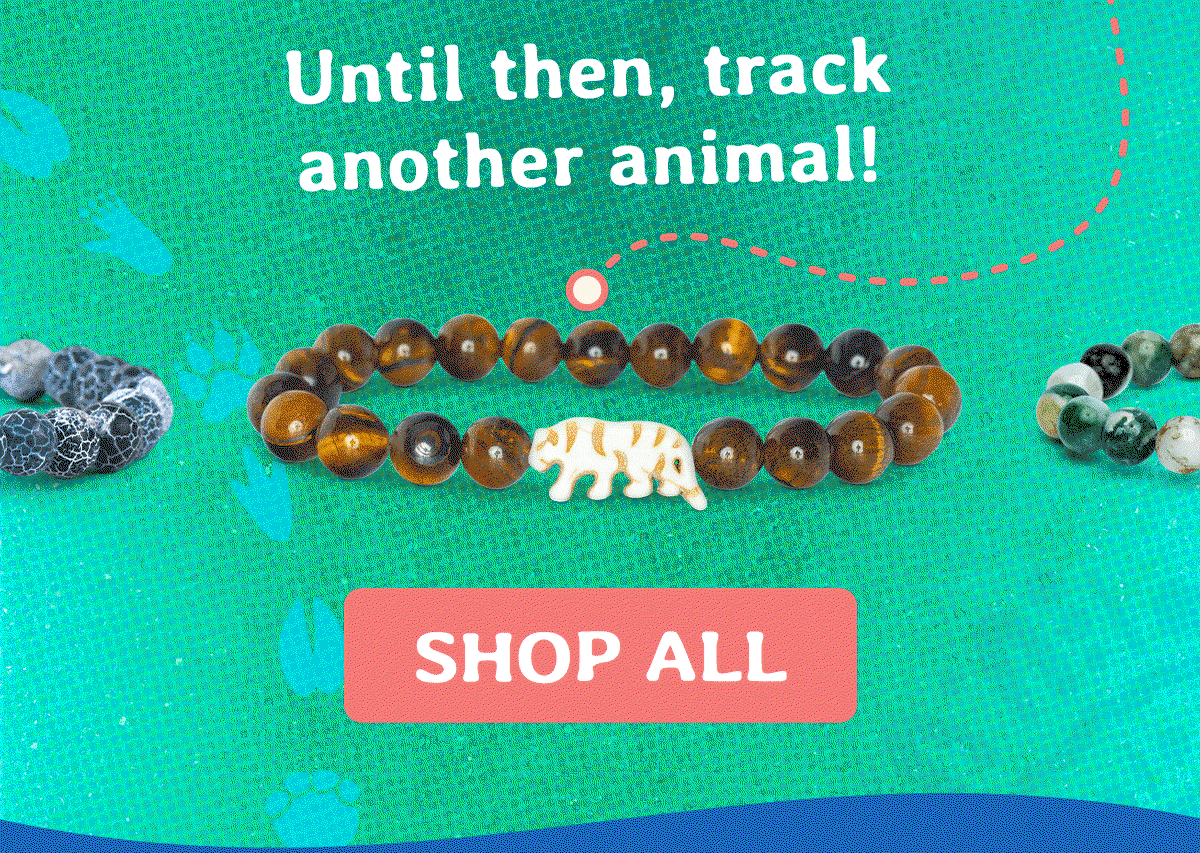 Make sure to set your alarm for 8pm EST TOMORROW 6/11, because they sell out FAST! Until then, track another animal!