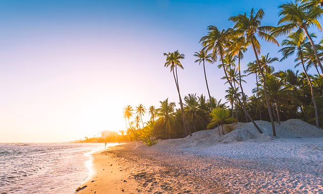 'InteleTravel destroyed my life and friendships, and made me just £25 a month': It promises desperate jobseekers the ultimate dream - luxury holidays and WFH anywhere in the world. But the reality is VERY different