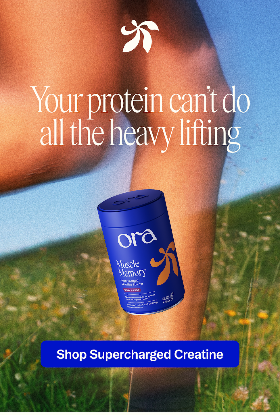 Shop Creatine