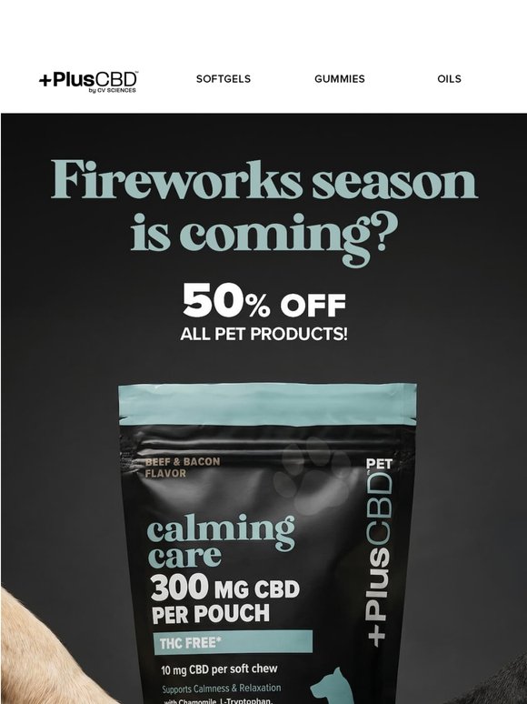 Help Your Pup Relax this 4th of July!