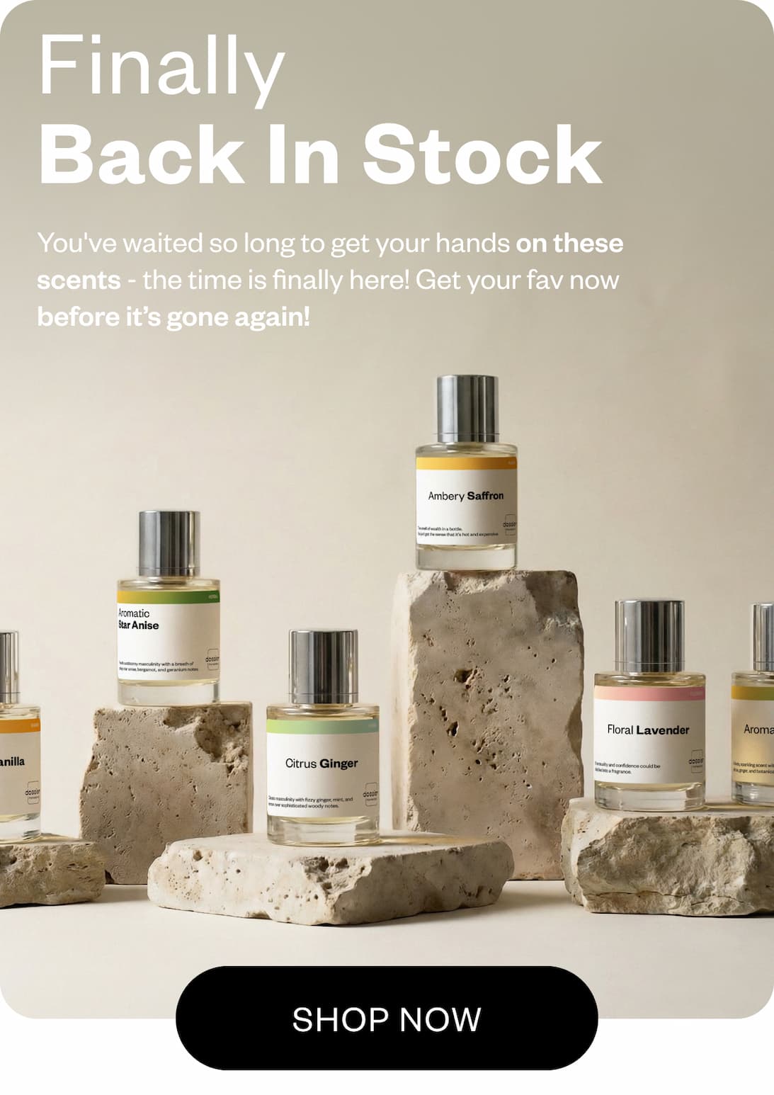 Finally Back in Stock!