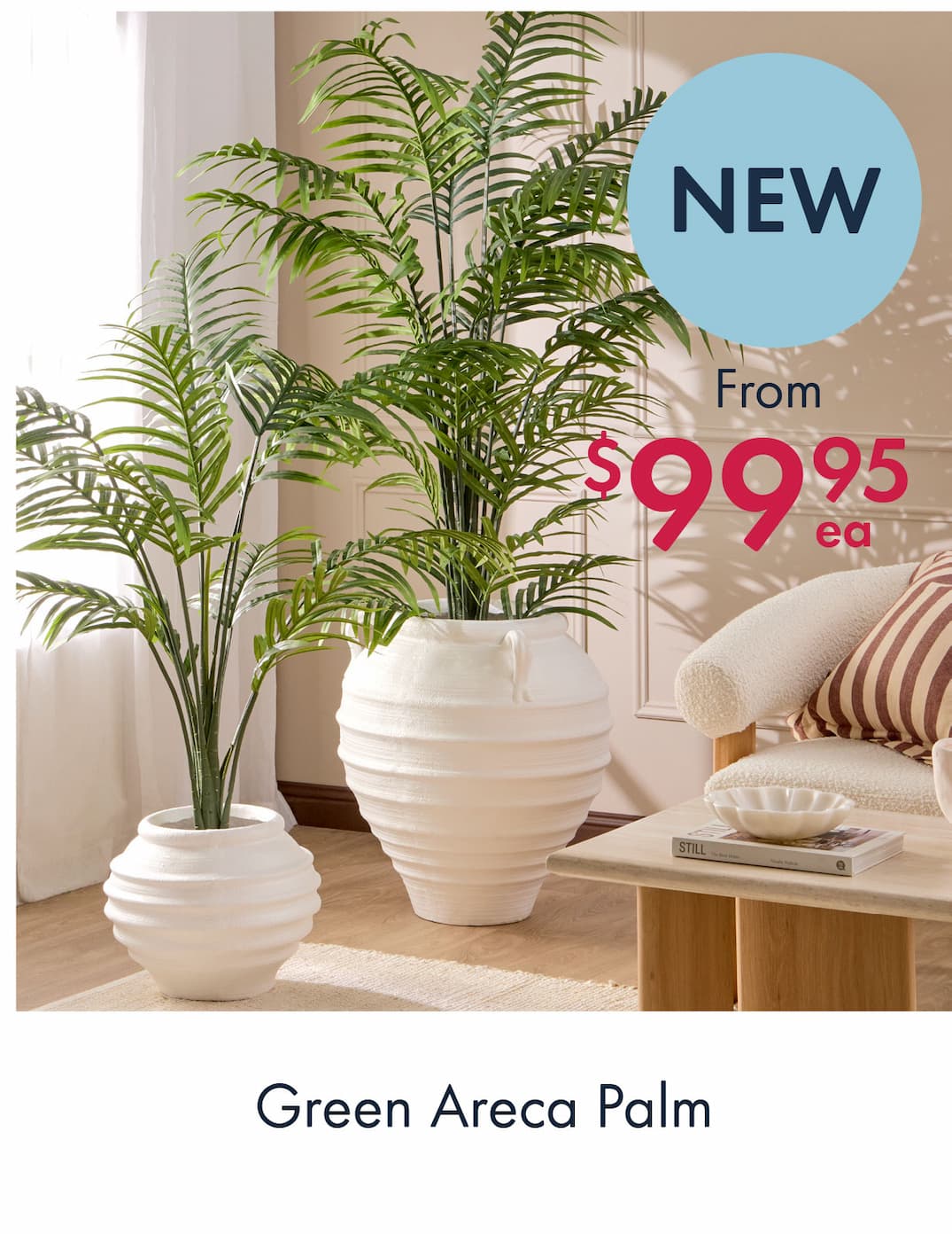 Green Areca Palm