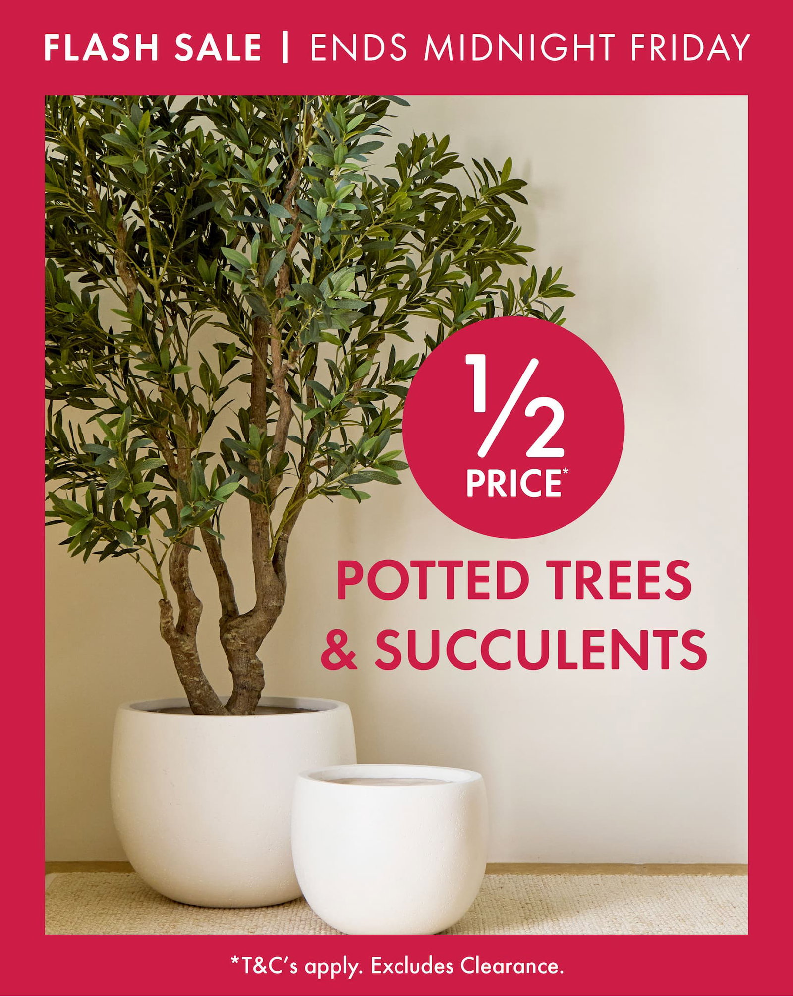 Artificial Trees & Succulents