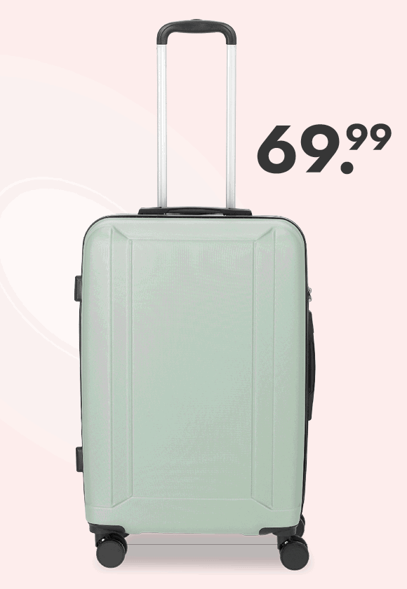 Koffer voor 69.99