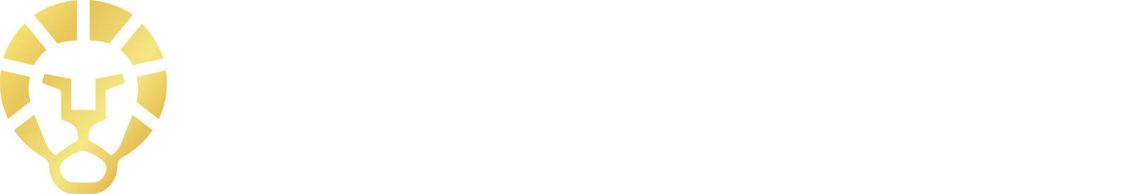 YRI Fellowship