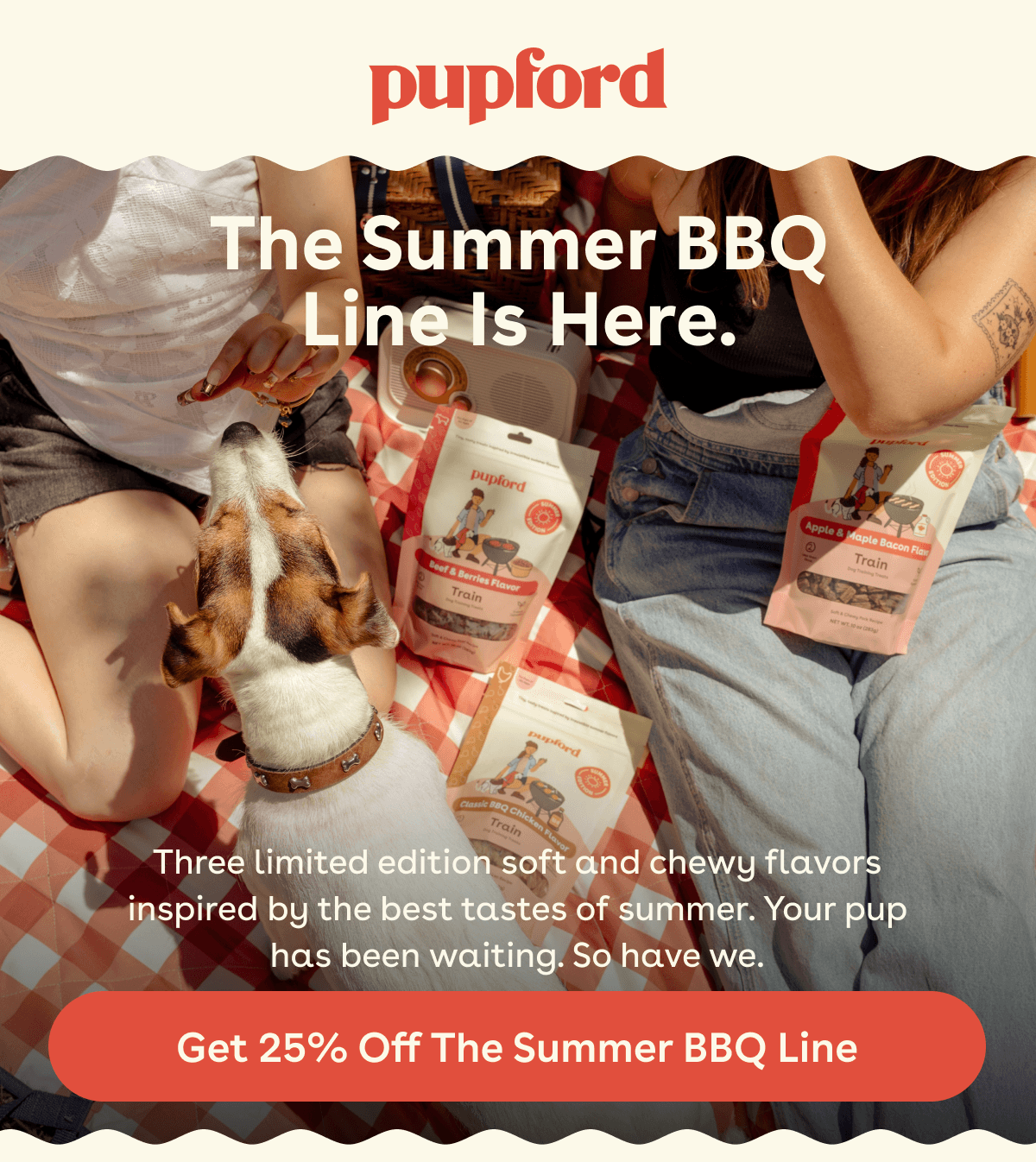 Get 20% off the summer BBQ line 