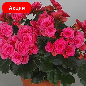 Карточка.png