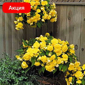 Карточка.png
