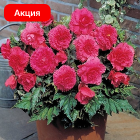 Карточка.png