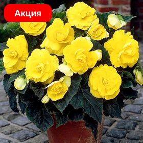 Карточка.png