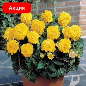 Карточка.png
