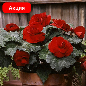 Карточка.png
