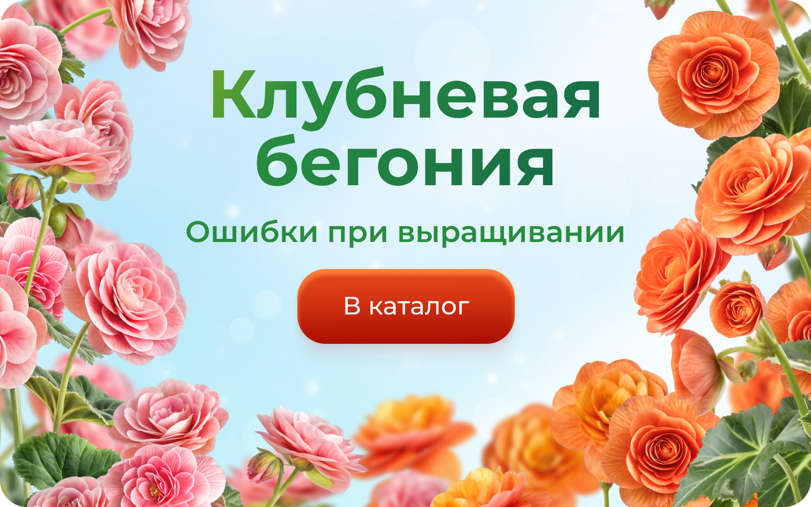 Frame 1367935284.png