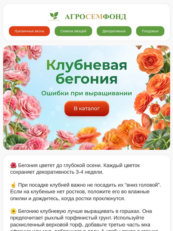 💥 🔥 ФИНАЛЬНАЯ РАСПРОДАЖА  весенних луковичных  -73%💥 🔥 ,  Гладиолусы от 20р  за луковицу, Клубень бегонии от 79 р 💥 🔥 + ПРЕДЗАКАЗ  ⏰ осенних  луковичных с дополнительной СКИДКОЙ! 🍂