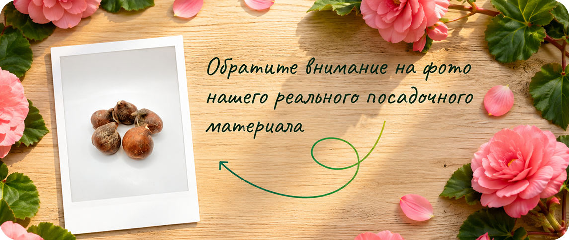 Скидки и Подарки.png