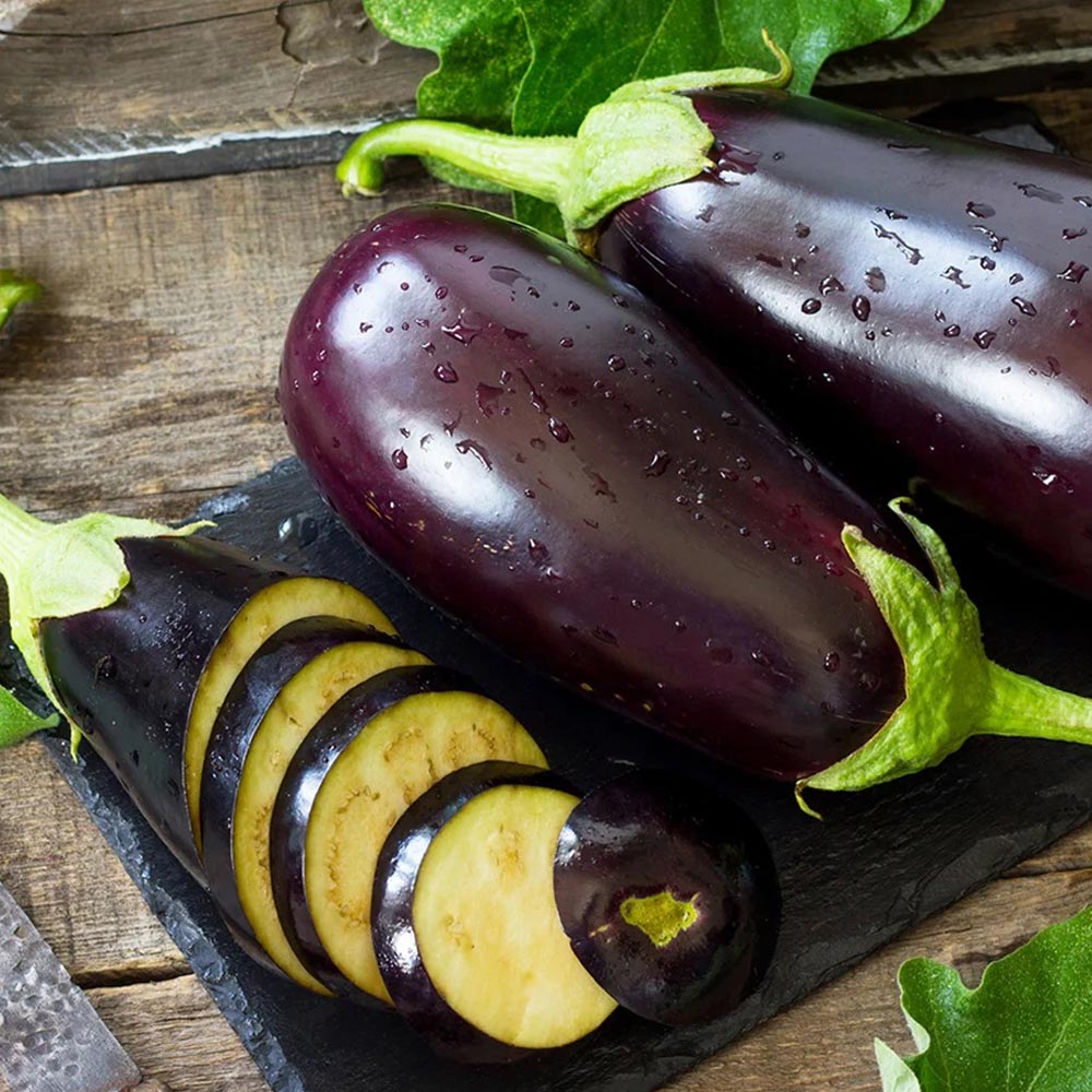 Aubergine 'Scorpio'