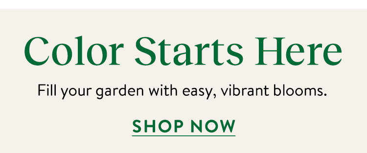 Flowers to Sow Now