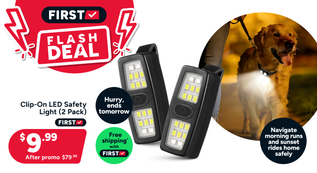Clip-On LED Safety Light (2 Pack)
