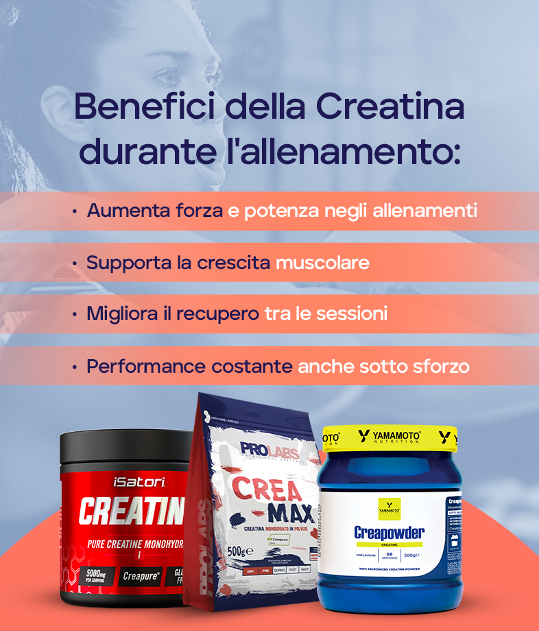 Focus Creatina