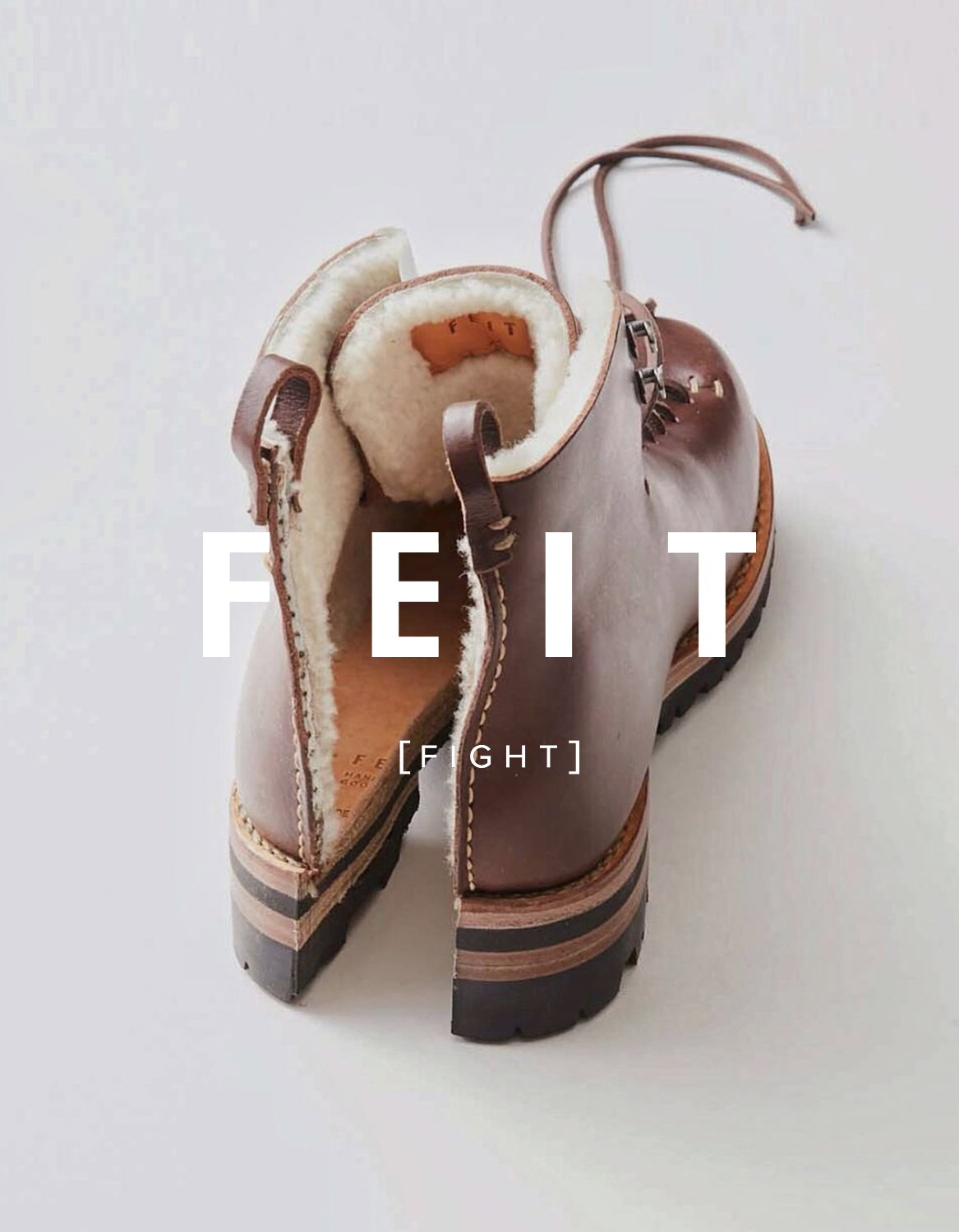 FEITDIRECT.COM