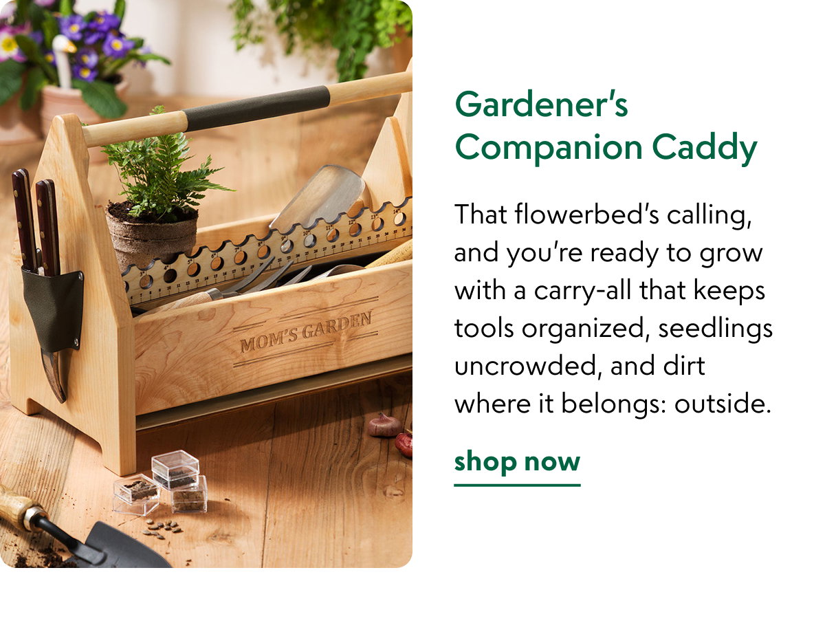 gardeners-companion-caddy