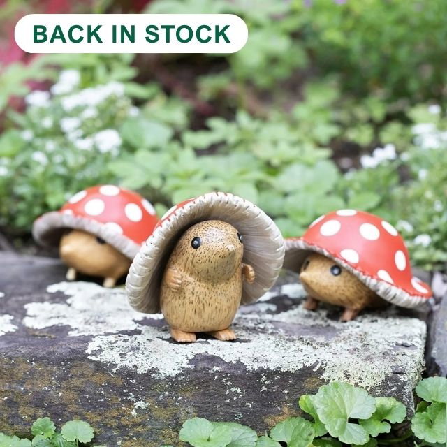 Mushroom Garden Hedgie
