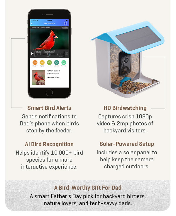20% off our Video Camera Bird Feeder by Sharper Image