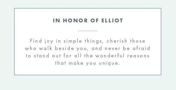 In honor of Elliot