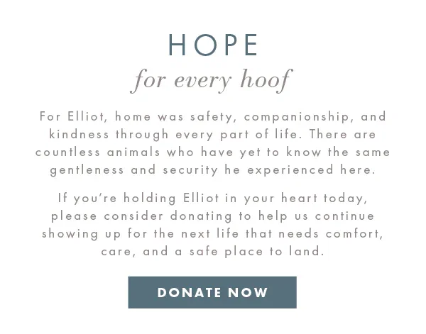 Hope for every hoof