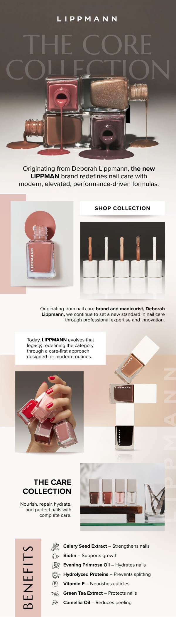 Shop Lippmann Collection
