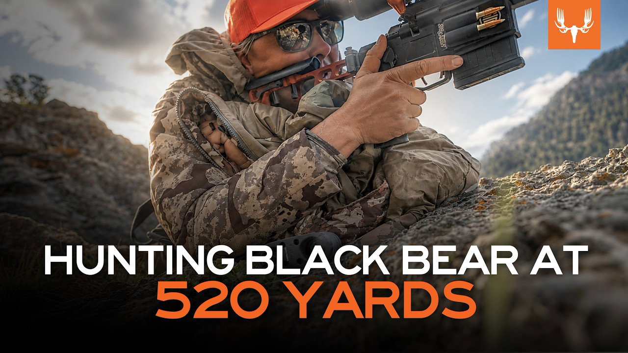 hunting black bear