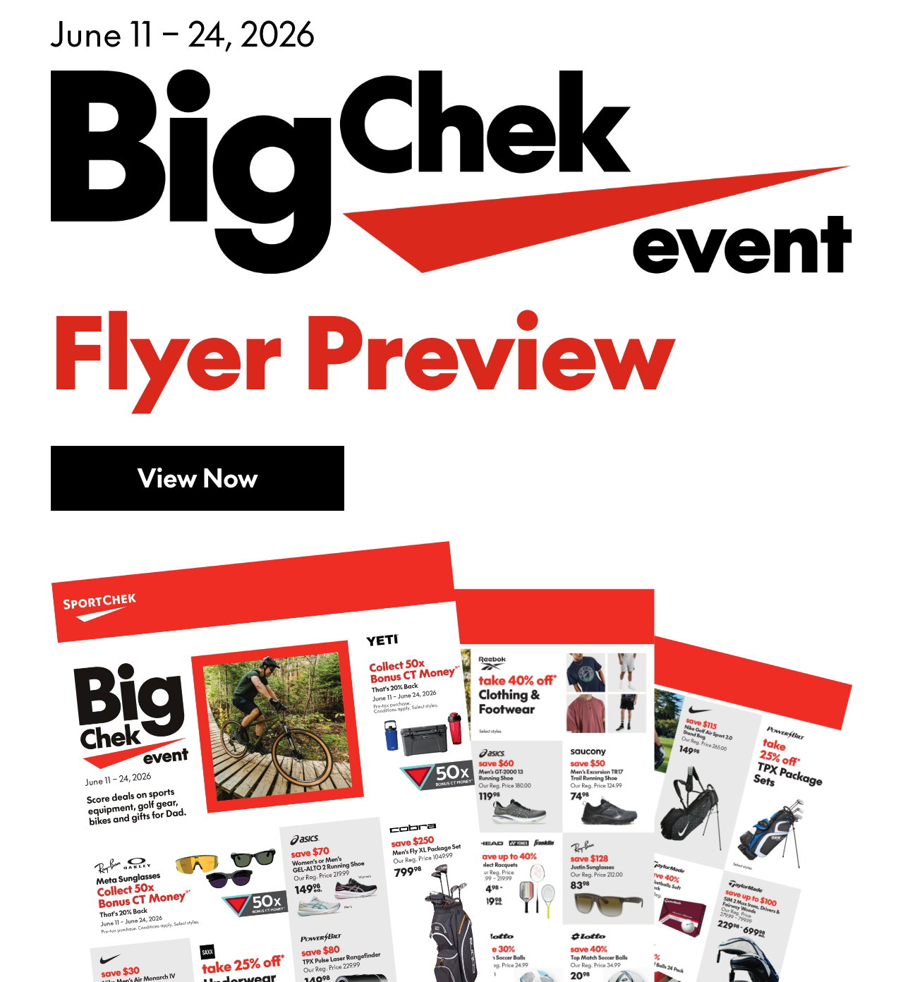 Digital Flyer
