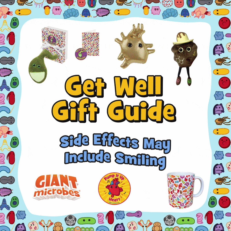 Get Well Gifts guide
