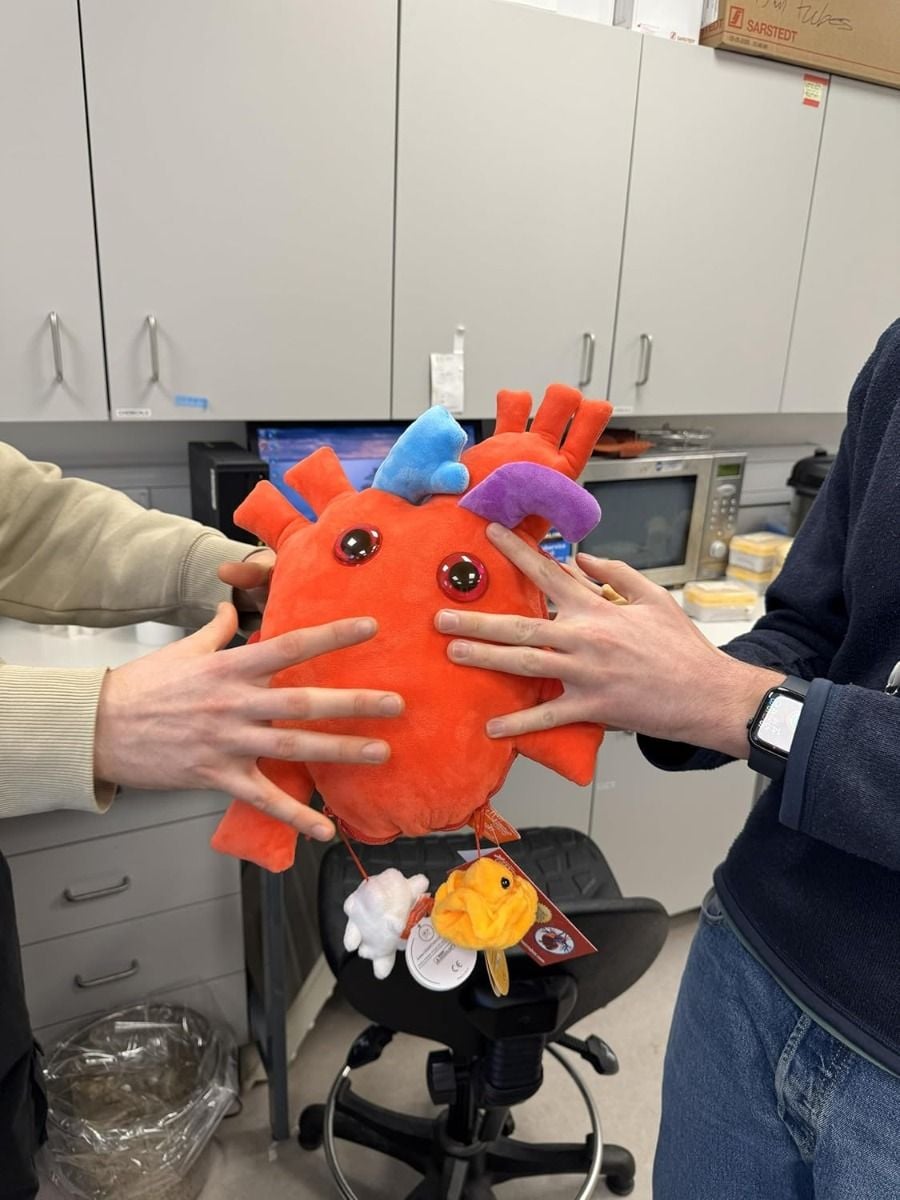 Deluxe Heart gift in lab
