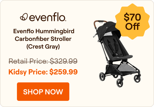  Evenflo Hummingbird Carbonfiber Stroller (Crest Gray)