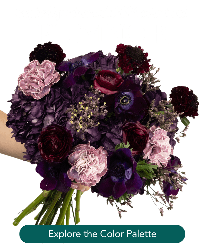 Pinterest Palette: Plum Noir Kit