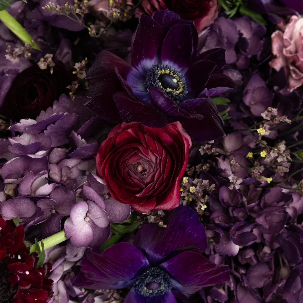 Image of Plum Noir DIY Flower Kit