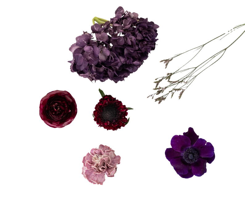 Pinterest Palette: Plum Noir Kit